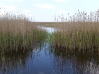 2016-05-21 15h51m41 - Yolanda Calandt en Johan Meijer